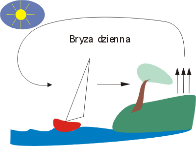 bryza-d