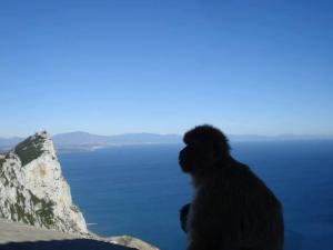 Rejsy - Gibraltar
